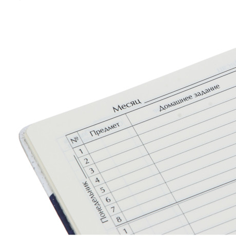 BY Русские Супергерои Дневник шк., А5+ (20,8x16,5см), 48л., тв.обл.с порол., иск.кожа, "Пересвет"