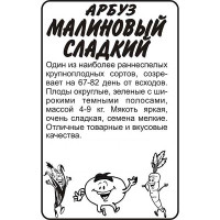 Арбуз Малиновый Сладкий СемАлт Б