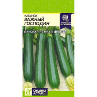 Кабачок Важный Господин СемАлт Ц