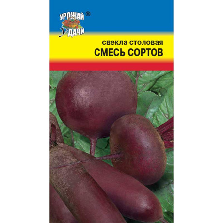 Свекла Смесь сортов Урожай у дачи Ц