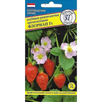 Клубника Флориан Престиж Ц