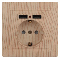 ЭРА Intro Plano роз. СУ, 1 мест. керам., земля, с 2xUSB 16A, штор. 5В-2,1А сосна 250В 1-410-11 4100