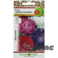 Астра Первое сентября смесь НК Ц