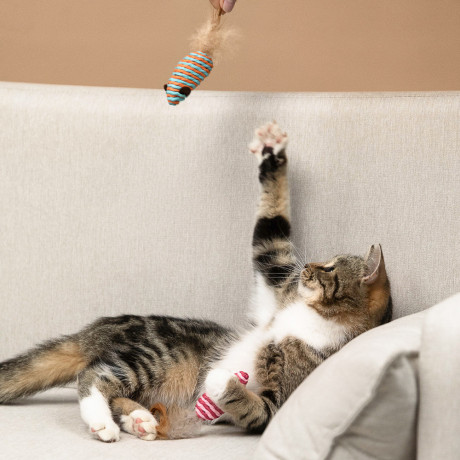 VETTA Игрушка для домашних животных, набор 2 шт, пластмасса, мышки