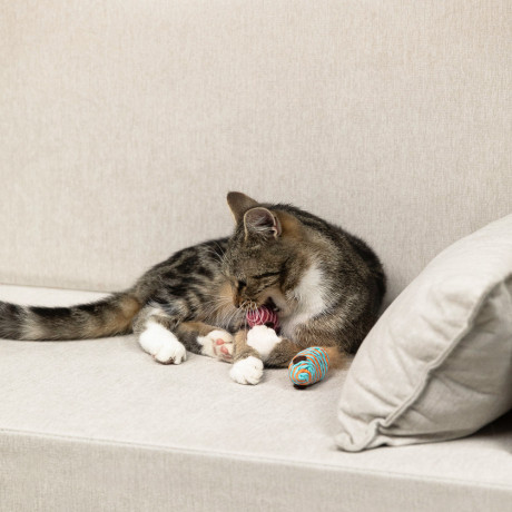 VETTA Игрушка для домашних животных, набор 2 шт, пластмасса, мышки