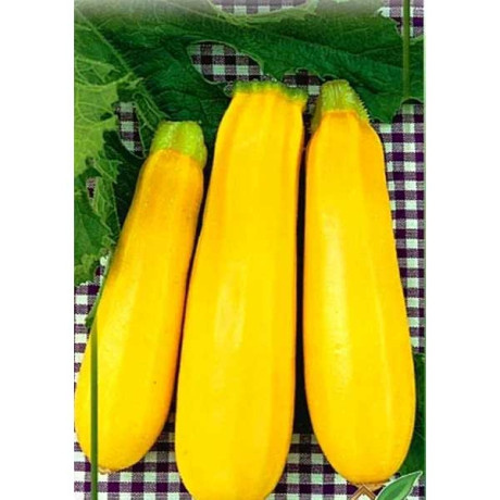 Кабачок Хелена НК Ц