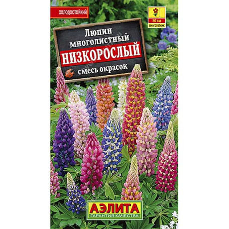 Люпин низкорослый Аэлита Ц