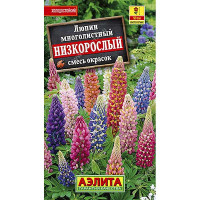 Люпин низкорослый Аэлита Ц