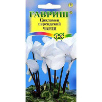 КОМ Цикламен Чарли персидский Гавриш Ц