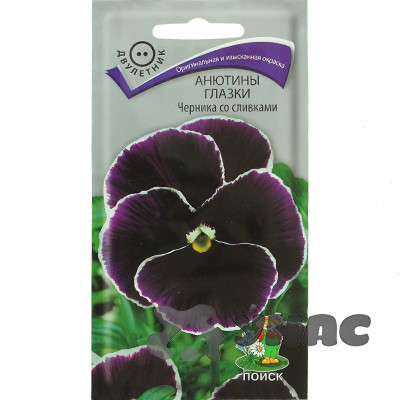 Анютины глазки Черника со сливками Поиск Ц