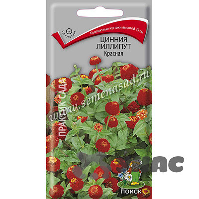 Циния Лиллипут Красная Поиск Ц