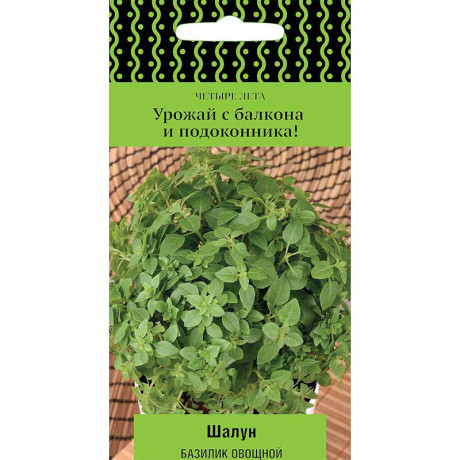 Базилик Шалун Поиск Ц