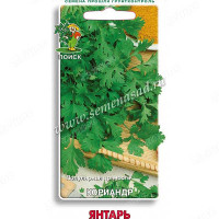 Кориандр Янтарь Поиск Ц