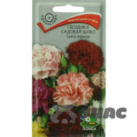 Гвоздика Шабо смесь Поиск Ц