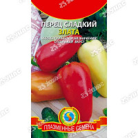 Перец Злата Плазма Ц