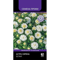 Семена Астра Сирена Белая Поиск Цх10