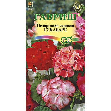 КОМ Пеларгония Кабаре Гавриш Ц
