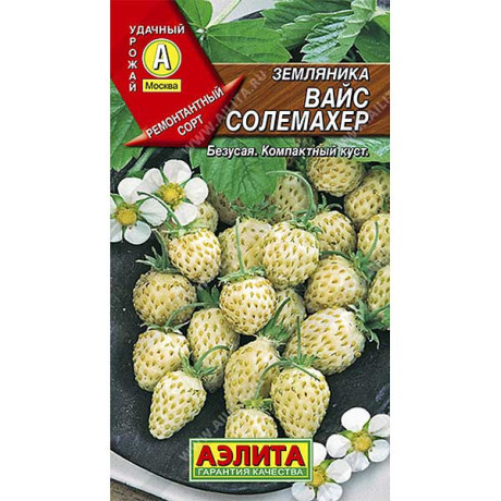 Земляника Вайс Солемахер (белая) Аэлита Ц