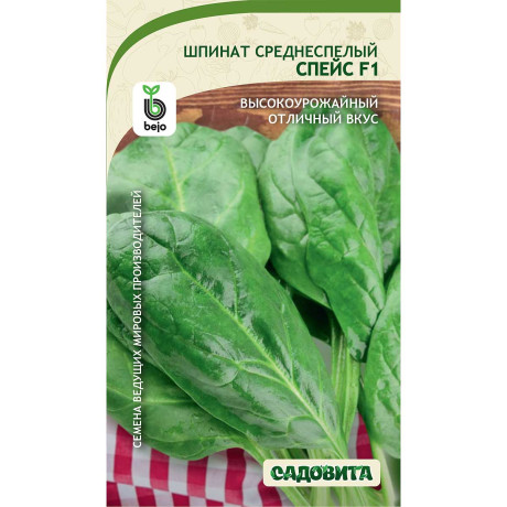 Шпинат Спейс F1 1гр Bejo/Садовита Ц
