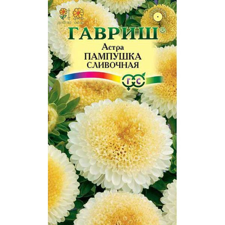 Астра Пампушка сливочная Гавриш Ц