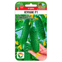 Огурец Кунак СибСад Ц