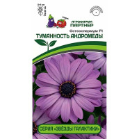 Остеоспермум эклона Туманность Андромеды Партнер Ц