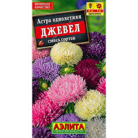 Астра Джевел смесь Аэлита Ц