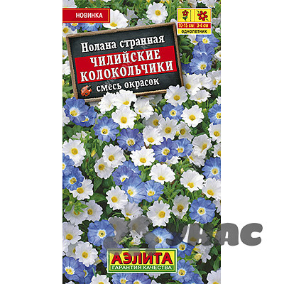 Нолана Чилийские колокольчики Аэлита Ц