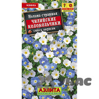 Нолана Чилийские колокольчики Аэлита Ц