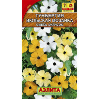 Тунбергия Июльская мозайка Аэлита Ц