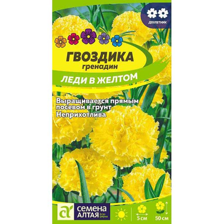 Гвоздика гренадин Леди в желтом СемАлт Ц