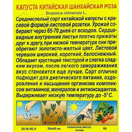 Семена Капуста китайская Шанхайская роза Аэлита Ц x10