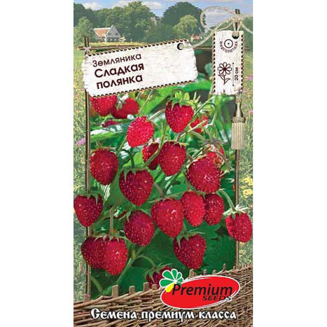 Земляника Сладкая полянка Премиум Сидс Ц