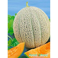 Дыня Бест Джумбо НК Ц