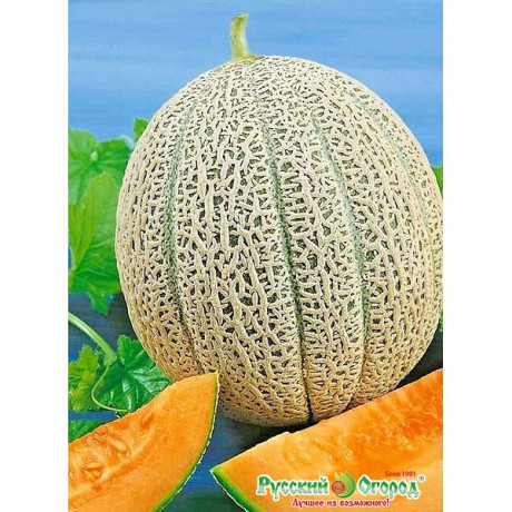 Дыня Бест Джумбо НК Ц