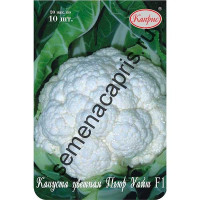 Капуста цв. Пьюр Уайт Каприс