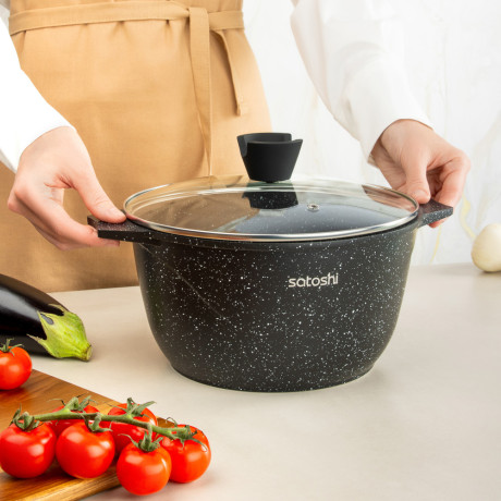 SATOSHI Монфор Казан 24х13,0см, 4,8л, литой алюминий, индукция