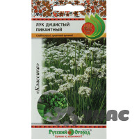 Лук душистый Пикантный НК Ц