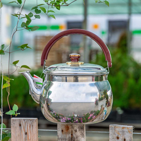 Чайник 7939 MB  6л(8)