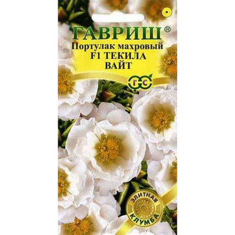 Портулак Текила Вайт Гавриш Ц