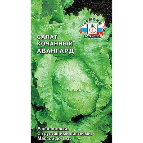 Салат Авангард Седек Ц
