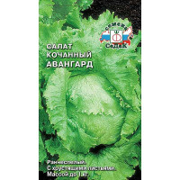 Салат Авангард Седек Ц