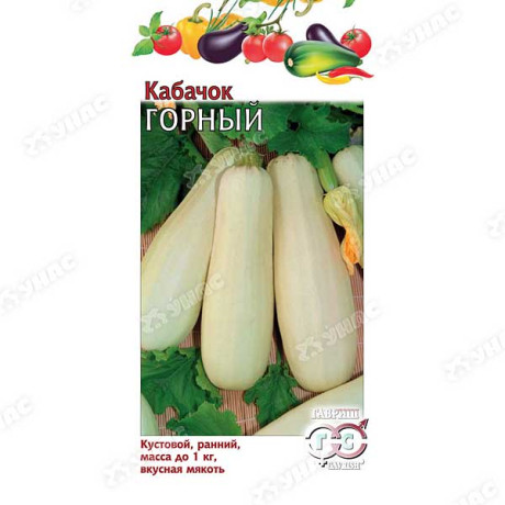 Кабачок Горный Гавриш Ц