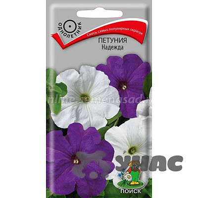 Петуния Надежда Поиск Ц