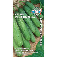 Огурец Наша Саша Седек Ц
