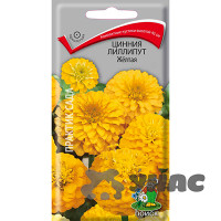 Циния Лиллипут желтая Поиск Ц