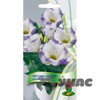 Эустома Сапфир Синяя дымка Поиск Ц