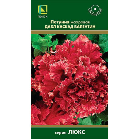 Петуния Дабл каскад Валентин махр Поиск Ц х10