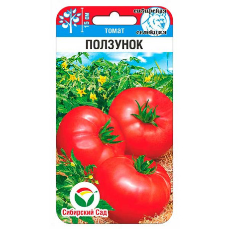 Томат Ползунок СибСад