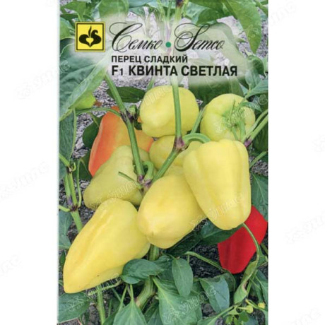 Семена Перец Квинта светлая Семко F1